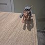 dinosaur toy Image 7