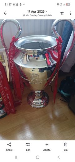 Replica Trophies