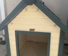 New age Dog house