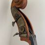 Double Bass Image 3