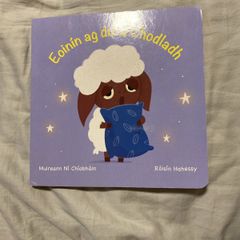 Irish language children's book