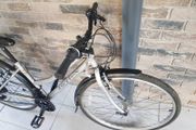 ladies bike( can deliver)