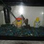 Fish tank with light + Accessories Image 2