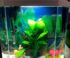 Aquarium / Fish Tank with extras
