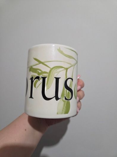 Rare Starbucks Cyprus City Mug 2002 Collector Series