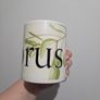 Starbucks City Mug Cyprus 2002 Collector Series Olive Branch Green White Image 2