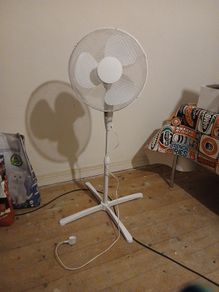 Fan