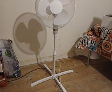 Fan
