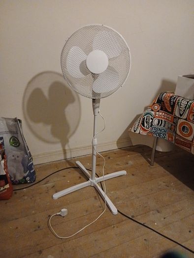 Fan