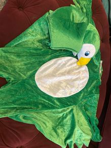 Halloween Costume - Green Bird