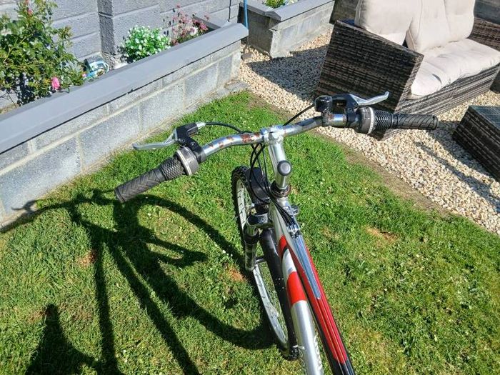 Adult's Bike