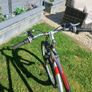 Adult's Bike Image 5