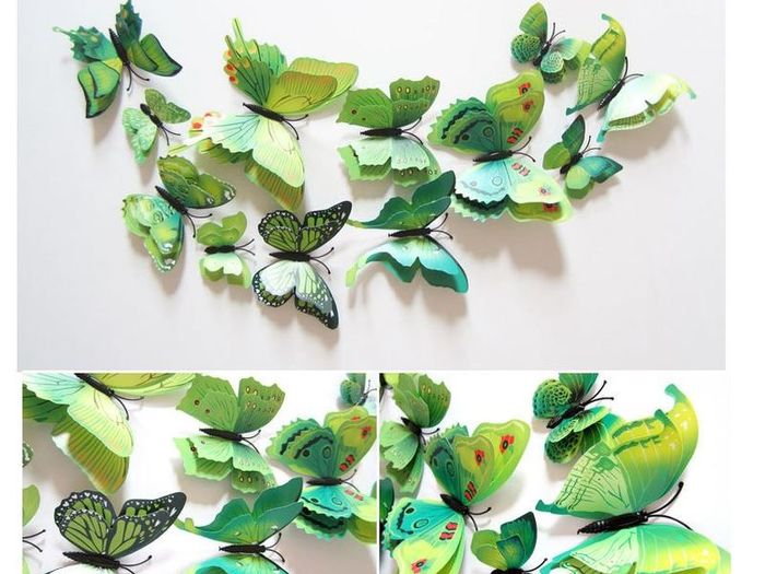Double wing Butterflies with magnet