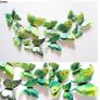 Double wing Butterflies Image 6