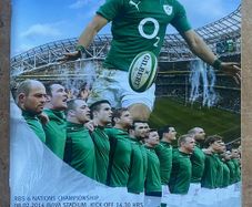2014 Ireland v Wales - RBS Six Nations Programme