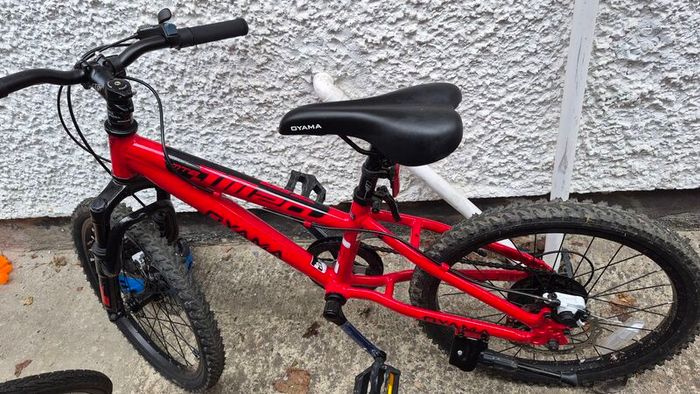 20 Inch Oyama JM20 Mountain Bike Red