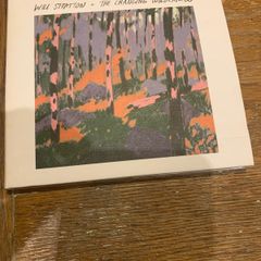 Will Stratton - The Changing Wilderness