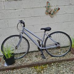 Bike for Adult size: S