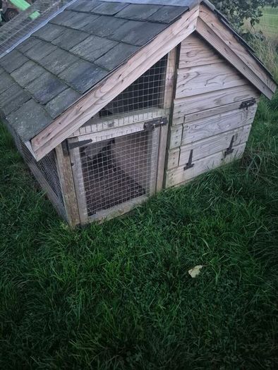 Chicken Coop, Rabbit Hutch