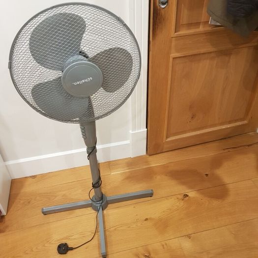 Standing Schallen