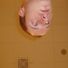 rob oyle