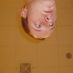 rob oyle