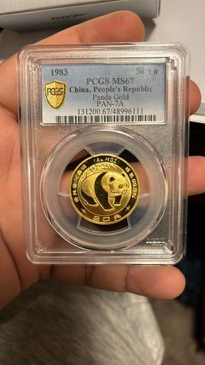 1/2oz rare slabbed panda gold coin - tested - 1983