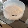 Baby Bottle, steriliser and Collector Image 3