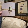 Salvador Dali. 1904- 1989. First Edition Large Volume Paperback In Good Condition. See Photos For Same. Image 6