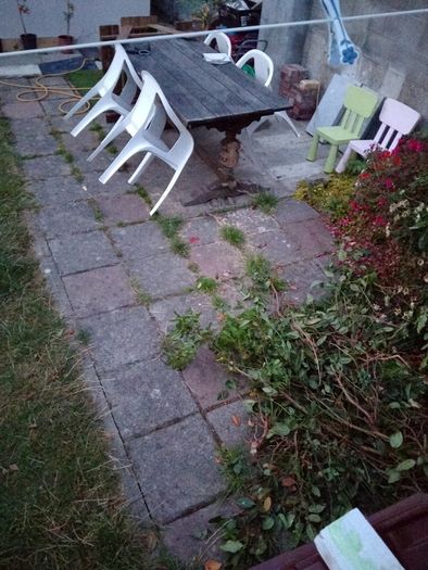 FREE coloured concrete pavers