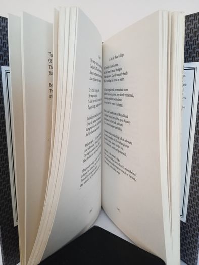 New Selected Poems 1966-1987 by Seamus Heaney (PT157)