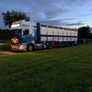 livestock trailer Image 5