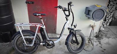 Electric bike