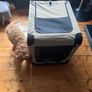 small dog crate Image 2