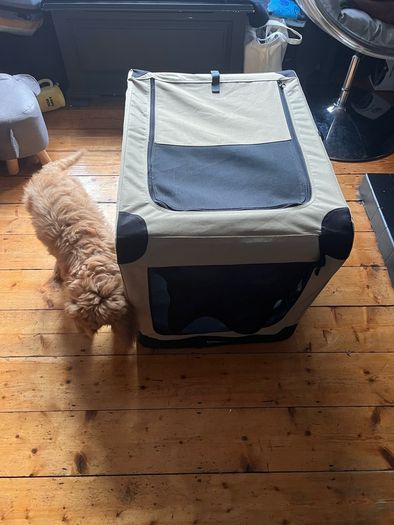 small dog crate