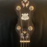 Tenor Banjo Image 2