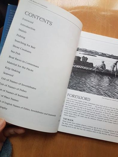 The Shores of Connemara by Seamus Mac an Iomaire