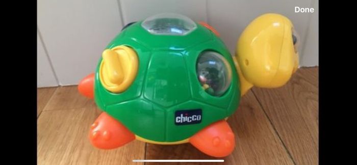 Chicco Turtle