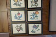 Lady Clare place mats big and small