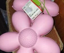 Pair of really cute flower Lights