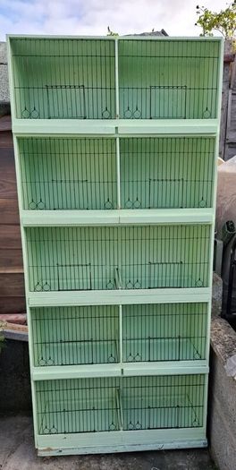 Bird Cages