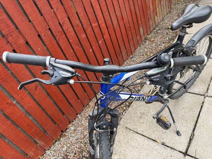 Giant bike