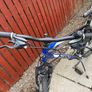 Giant bike Image 3