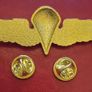 usmc / us navy parachute wings. Image 2