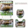 kitchen  & bathroom accessories  Dcor Items Image 2