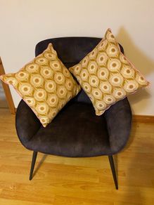 cushions x 2
