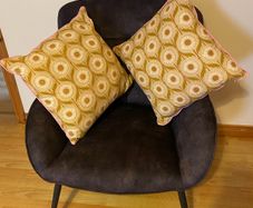 cushions x 2