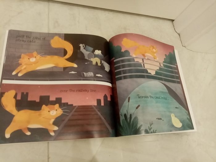 Big City Kitty book