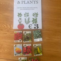 Pepper Plants
