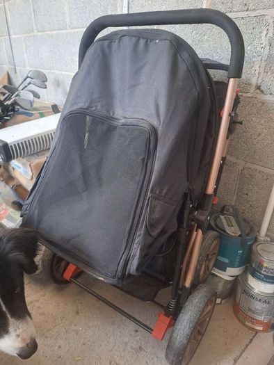 dog pram